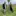 2024 Agroforst Agroforst Gland Fonds Landschaft Schweiz FLS Yvesbischofberger Antoine Giovannini AGIR